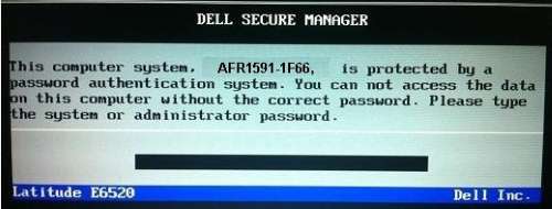 Dell 1F66 System password